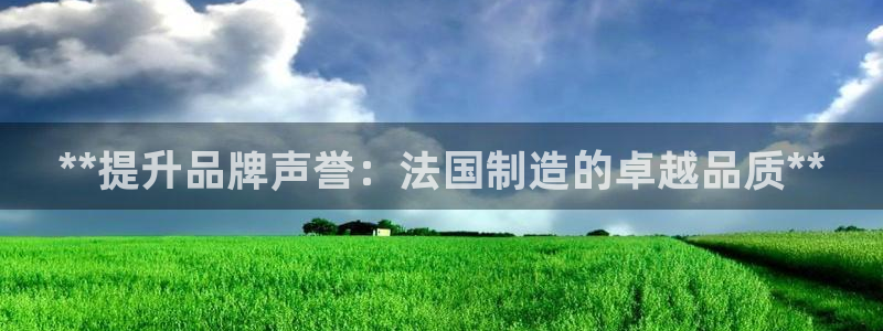 彩神广告有限公司：**提升品牌声誉：法国制造的卓越品质**