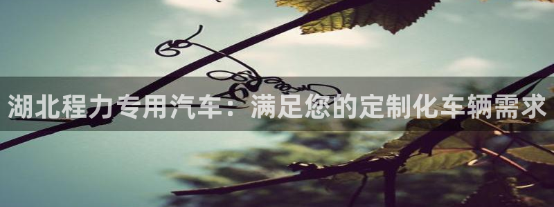 彩神争霸官方下载：湖北程力专用汽车：满足您的定制化车辆需求