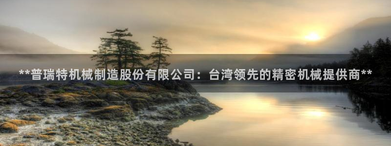 彩神平台是什么套路：**普瑞特机械制造股份有限公司：台湾领先的精密机械提供商**
