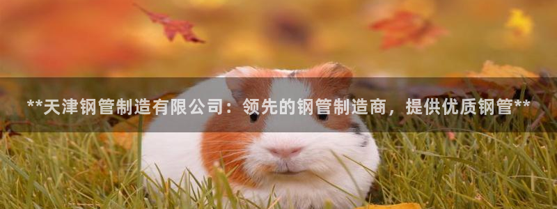 彩神vl购彩大厅：**天津钢管制造有限公司：领先的钢管制造商，提供优质钢管**