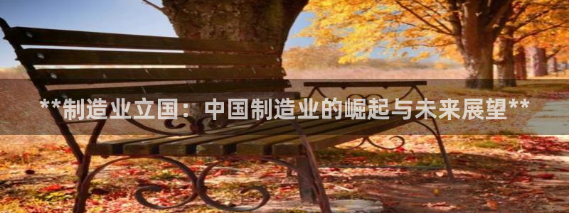 彩神8购彩-购彩大厅：**制造业立国：中国制造业的崛起与未来展望**