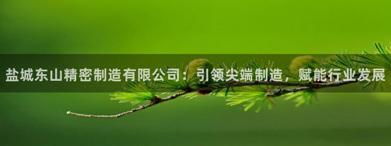 彩神8软件下载：盐城东山精密制造有限公司：引领尖端制造，赋能