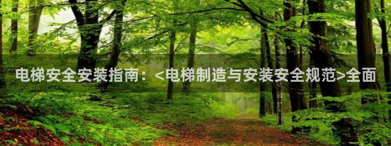 彩神v8手机客户端：电梯安全安装指南：<电梯制造与安装安全规范>全面