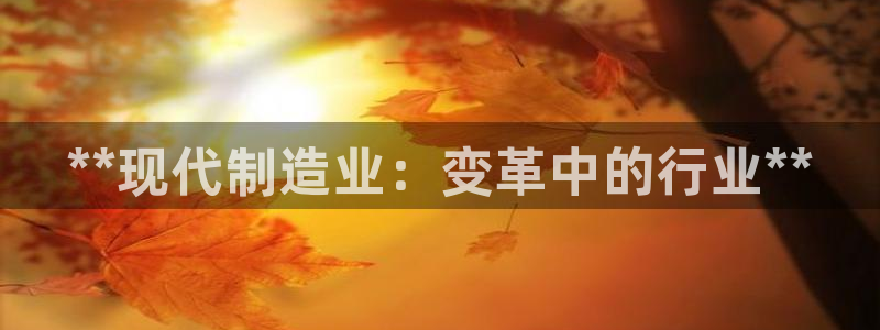 彩神v8购彩大厅登：**现代制造业：变革中的行业**