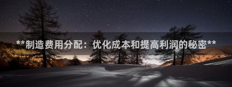 大发彩神最高邀请码：**制造费用分配：优化成本和提高利润的秘密**