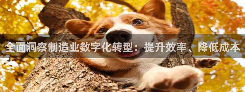 彩神争霸平台：全面洞察制造业数字化转型：提升效率、降低成本