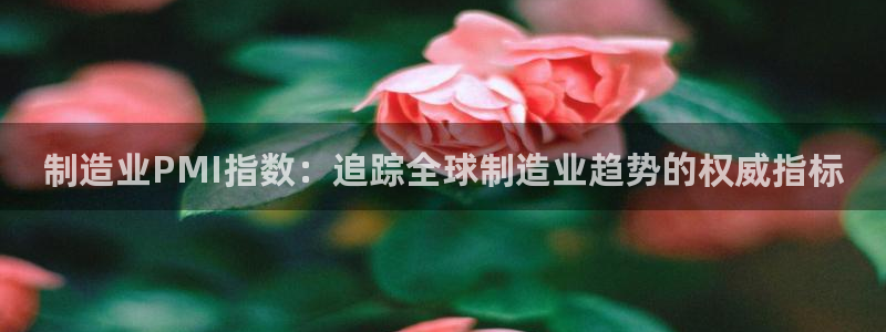 彩神V官网：制造业PMI指数：追踪全球制造业趋势的权威指标