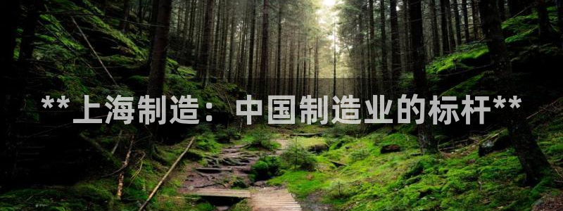 彩神v违法么：**上海制造：中国制造业的标杆**