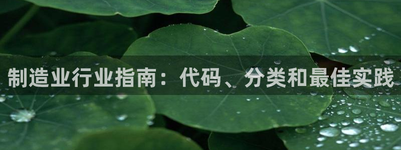 所有彩神购买首页：制造业行业指南：代码、分类和最佳实践