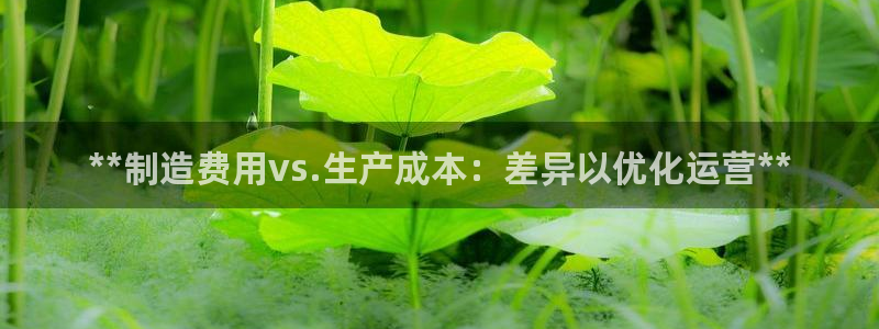 彩神v8平台正规吗可靠吗：**制造费用vs.生产成本：差异以优化运营**