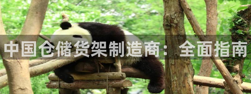彩神Vii购彩-购彩大厅：中国仓储货架制造商：全面指南