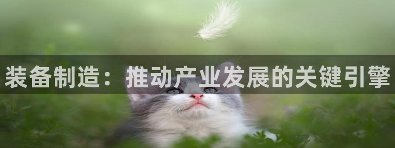 彩神v秘聊号码：装备制造：推动产业发展的关键引擎