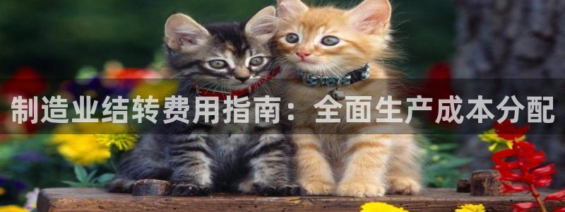 彩神vip购彩：制造业结转费用指南：全面生产成本分配