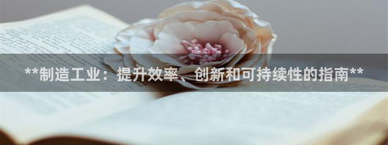 彩神v8平台正规吗知乎：**制造工业：提升效率、创新和可持续性的指南**