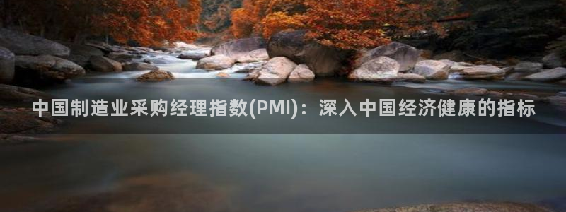 彩神8软件下载：中国制造业采购经理指数(PMI)：深入中国经济健康的指标