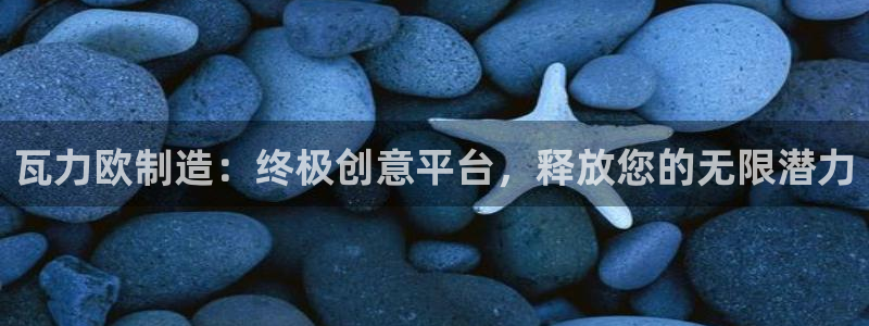 彩神平台是真的吗：瓦力欧制造：终极创意平台，释放您的无限潜力