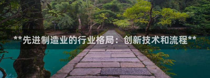 彩神是正规平台吗知乎：**先进制造业的行业格局：创新技术和流程**