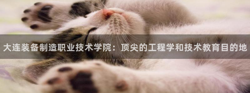 彩神8软件下载：大连装备制造职业技术学院：顶尖的工程学和技术教育目的地
