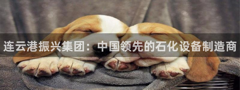 彩神购彩-购彩大厅入口计划群：连云港振兴集团：中国领先的石化设备制造商