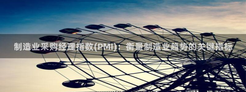 彩神viii官网：制造业采购经理指数(PMI)：衡量制造业趋势的关键指标