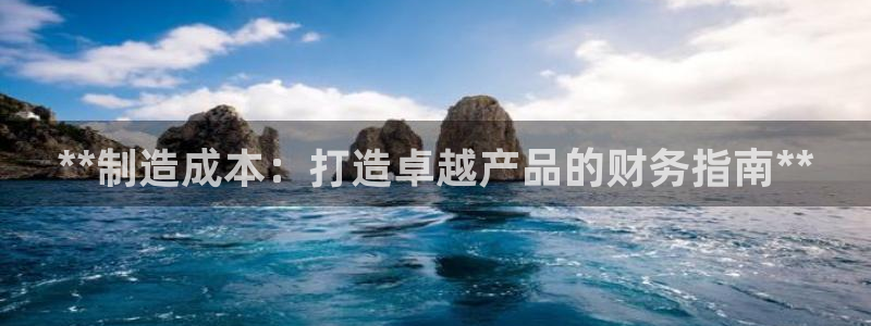 下载彩神乐发V1：**制造成本：打造卓越产品的财务指南**