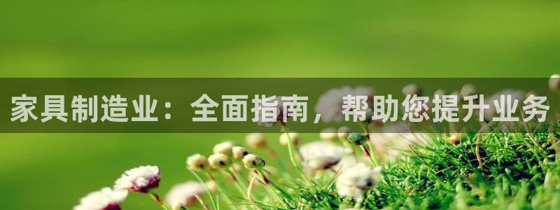 彩神平台是真的吗：家具制造业：全面指南，帮助您提升业务