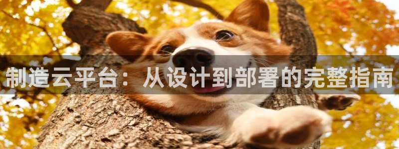 彩神合法吗.是国家认可的吗：制造云平台：从设计到部署的完整指南