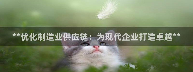新版彩神v8登录不了：**优化制造业供应链：为现代企业打造卓越**