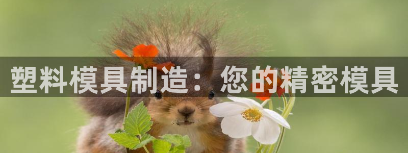 彩神购彩-购彩大厅入口36fr：塑料模具制造：您的精密模具