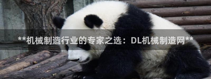 彩神vip购彩大厅在哪