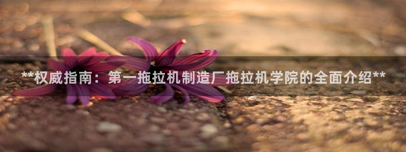 彩神vll官网-最新版app下载：**权威指南：第一拖拉机制造厂拖拉机学院的全面介绍**