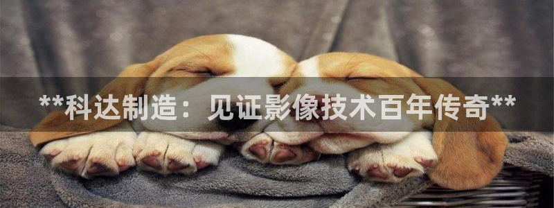 彩神购彩-购彩大厅入口下载：**科达制造：见证影像技术百年传奇**