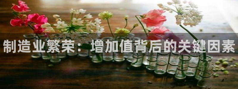 大发彩神官网下载：制造业繁荣：增加值背后的关键因素