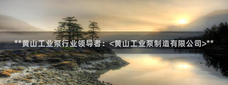 彩神8最新版下载：**黄山工业泵行业领导者：<黄山工业泵制造
