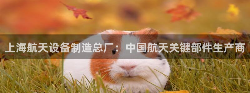 彩神v8下载app：上海航天设备制造总厂：中国航天关键部件生产商