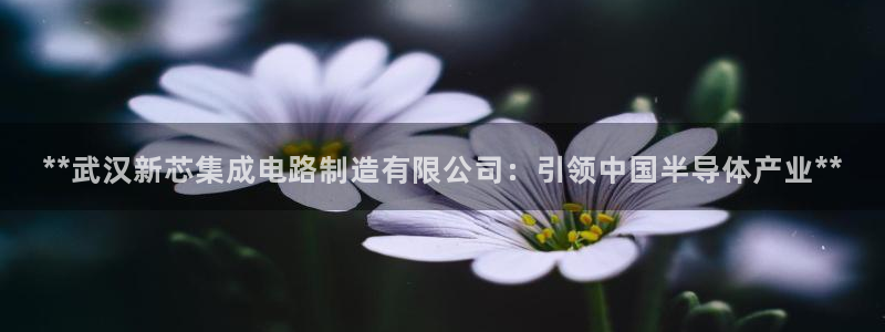 新版彩神v8登录不了：**武汉新芯集成电路制造有限公司：引领中国半导体产业**
