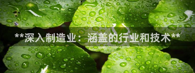 下载彩神乐发V：**深入制造业：涵盖的行业和技术**