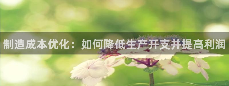 彩神是正规平台吗：制造成本优化：如何降低生产开支并提高利润