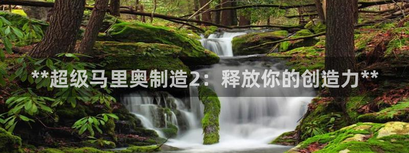 彩神v1破解器