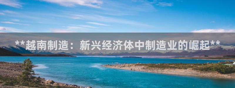 彩神赢的钱是哪里来的啊：**越南制造：新兴经济体中制造业的崛起**