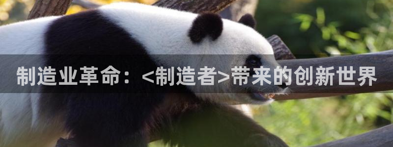 彩神旗下有哪些平台可以玩：制造业革命：<制造者>带来的创新世界