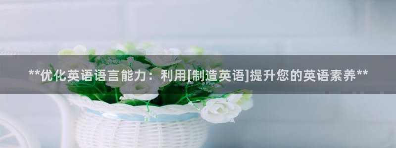 彩神8是正规平台吗：**优化英语语言能力：利用[制造英语]提
