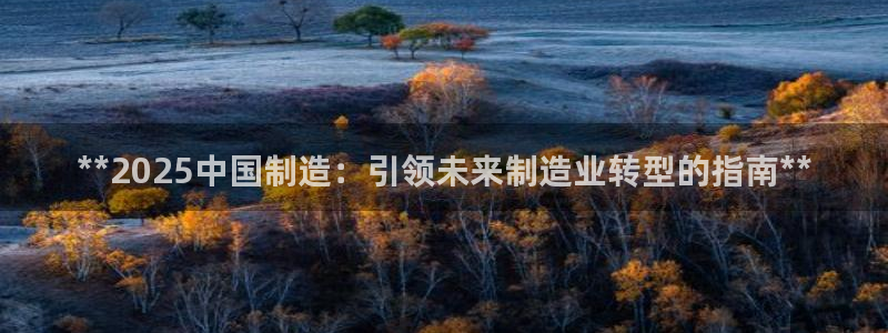 彩神vll购彩大厅大众：**2025中国制造：引领未来制造业