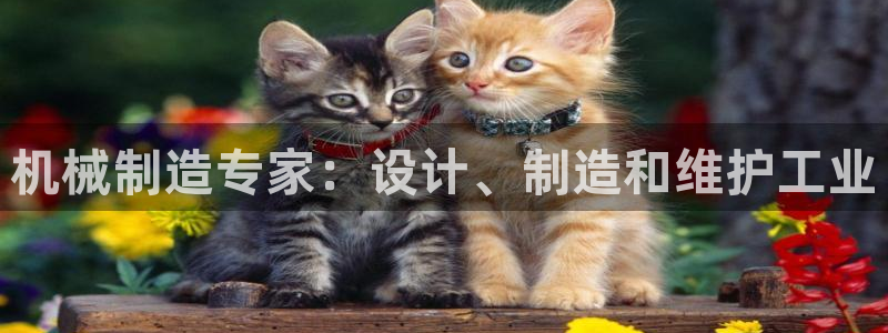彩神VII官方版：机械制造专家：设计、制造和维护工业