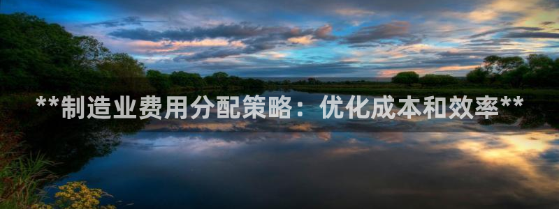 彩神官方登录：**制造业费用分配策略：优化成本和效率**