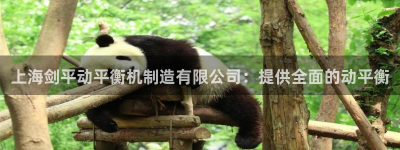 彩神这个平台是真的吗：上海剑平动平衡机制造有限公司：提供全面