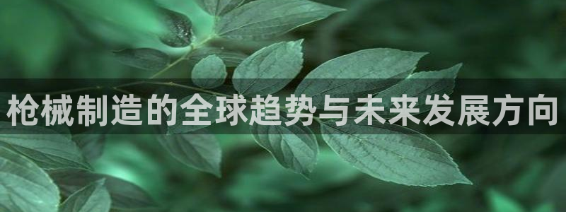 大发彩神最高邀请码：枪械制造的全球趋势与未来发展方向