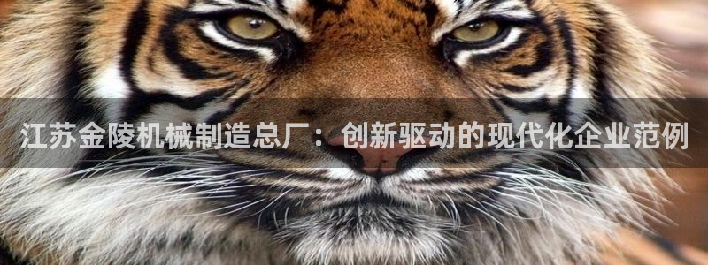 彩神旗下有哪些平台可以玩：江苏金陵机械制造总厂：创新驱动的现代化企业范例