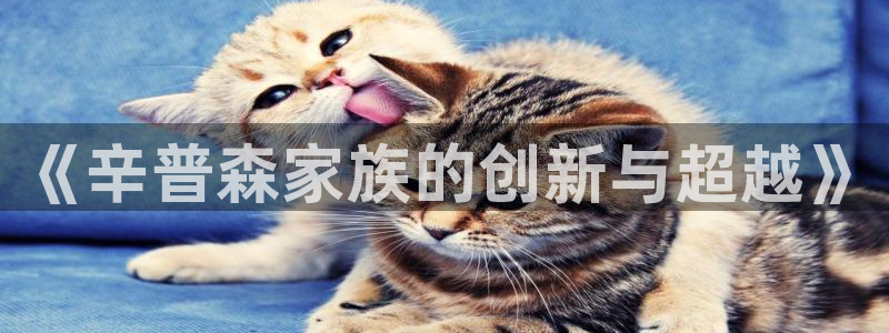 彩神vl官网