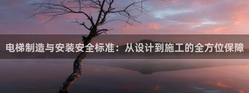 彩神v违法么：电梯制造与安装安全标准：从设计到施工的全方位保障